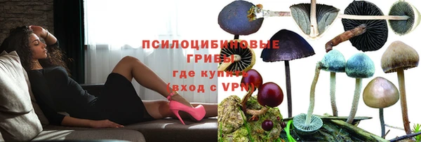 ешки Арсеньев