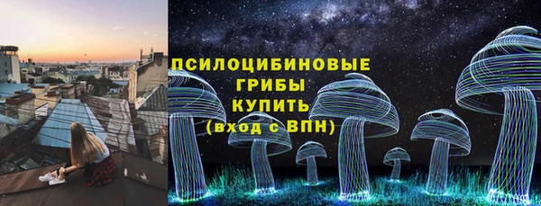сатива Армянск