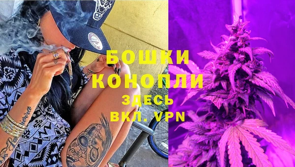 сатива Армянск
