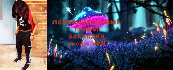сатива Армянск